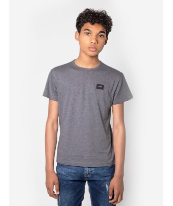 Dolce & Gabbana Boys Cotton Jersey Logo T-Shirt in Grey est présent 