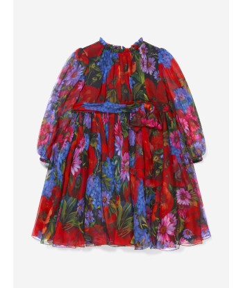 Dolce & Gabbana Baby Girls Floral Chiffon Dress À commander